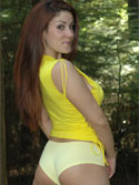 Yellow In The Woods