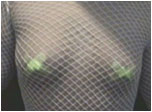 White Fishnet
